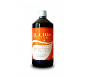 Silicium Organique